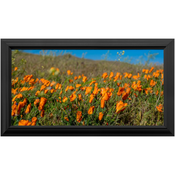 Premium Framed Prints