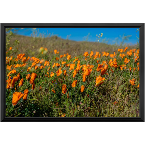 Premium Framed Prints - Image 5