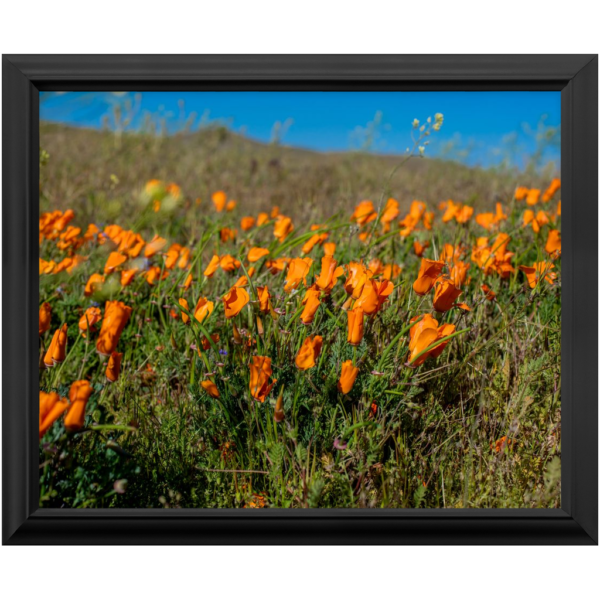 Premium Framed Prints - Image 2