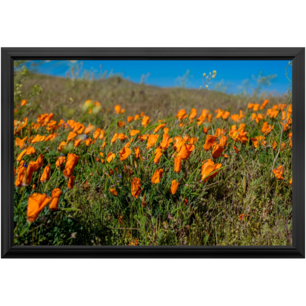 Premium Framed Prints - Image 4