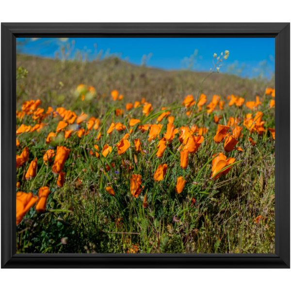 Premium Framed Prints - Image 3