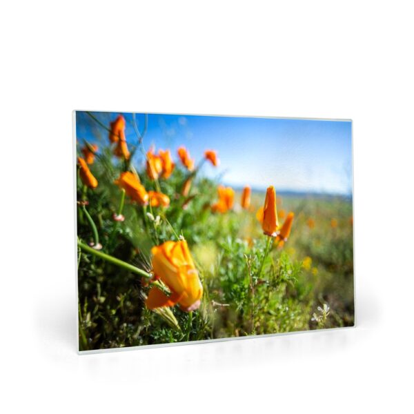 California Poppy Glass Cutting Board - Image 3