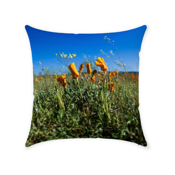 Throw Pillows - Image 4