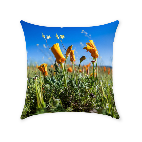 Throw Pillows