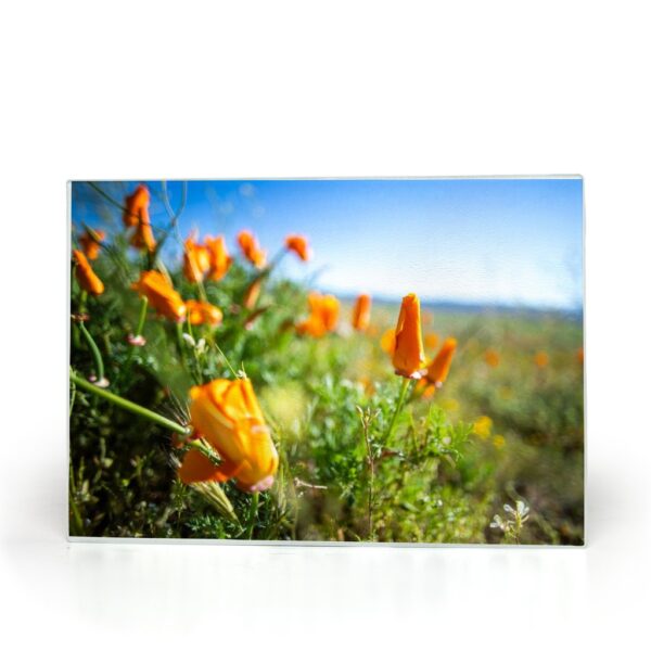 California Poppy Glass Cutting Board