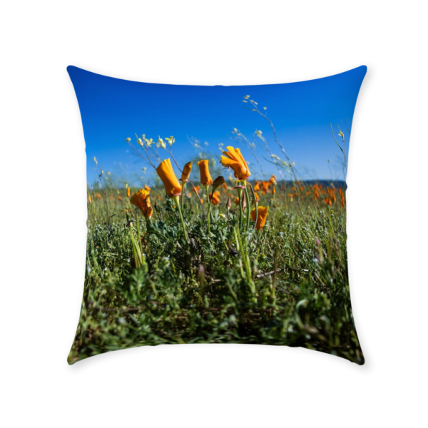 Throw Pillows - Image 6