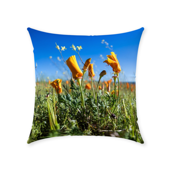 Throw Pillows - Image 2