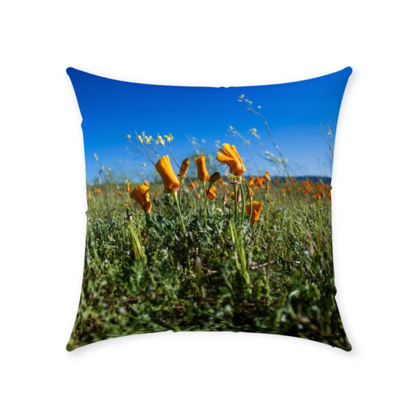 Throw Pillows - Image 5