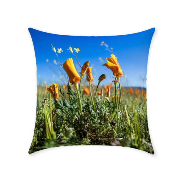 Throw Pillows - Image 3